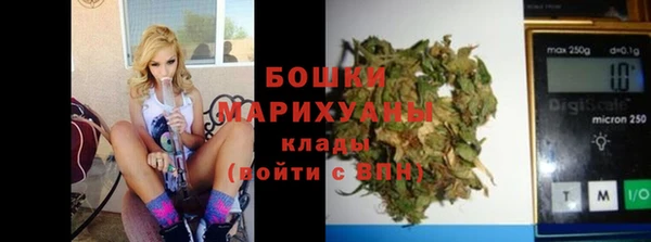 дурь Ладушкин