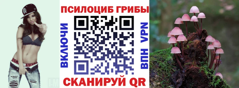 Псилоцибиновые грибы GOLDEN TEACHER  Купить закладки  Пионерский 