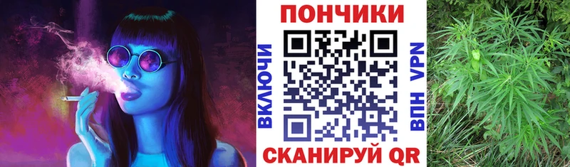 Купить закладки  Пионерский  Конопля Amnesia 